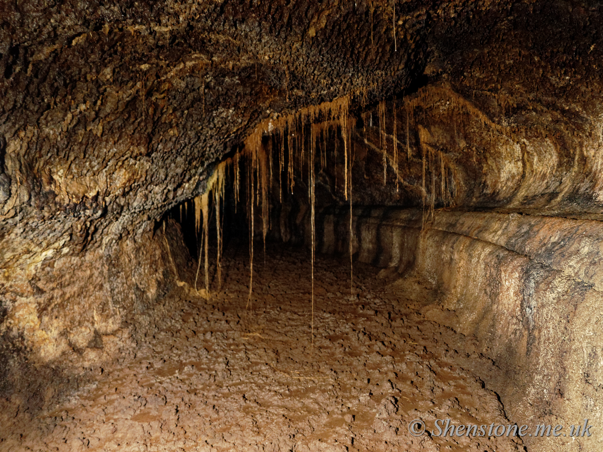 Cueva del Viento Breveritas Entrance, Tenerife, canary Islands